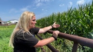 Farmland costs rise, pricing young farmers out of the market as age of farmers increase