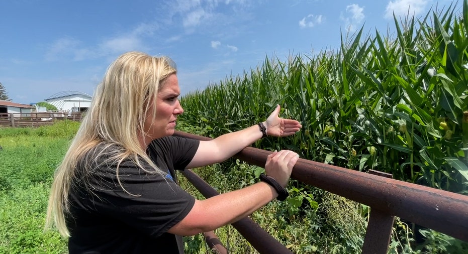 a female farmer hangs over a rail pointing at her rows of corn