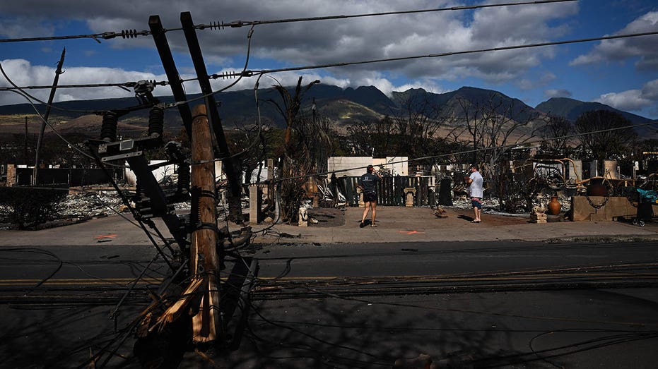 Maui wildfires