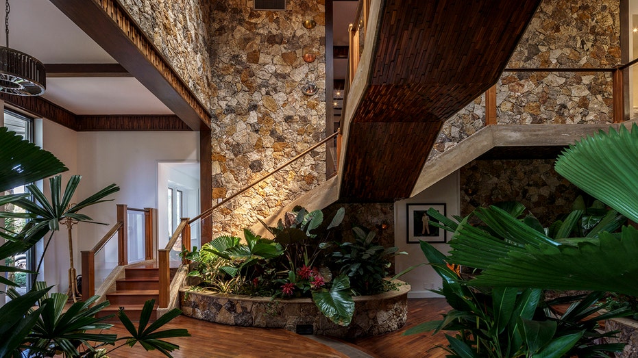 curved staircase with tropical plants