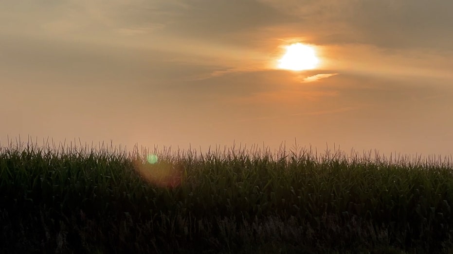 the sun sets over an iowa corn field