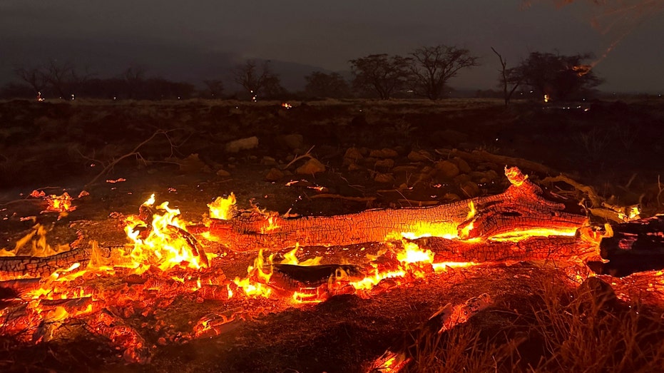 Hawaii wildfires