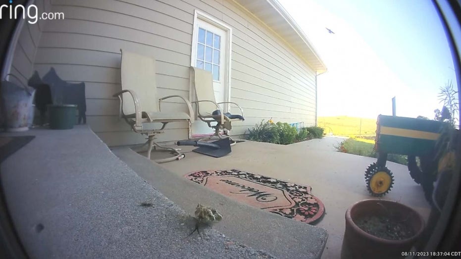 Ring door shows rattlesnake on front porch