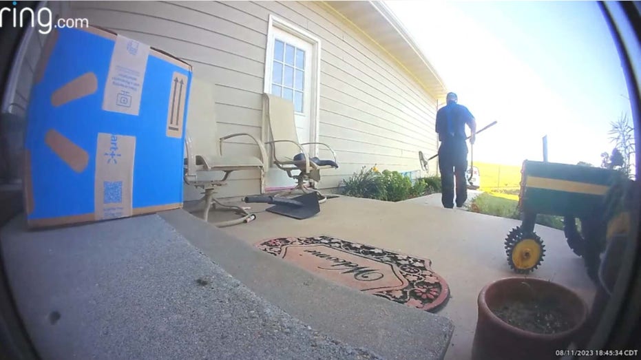 FedEx driver moving rattlesnake