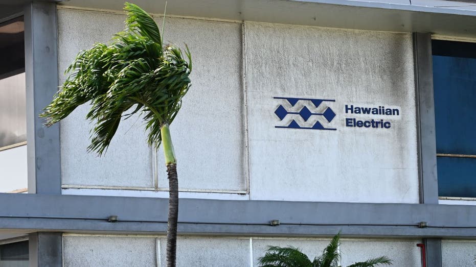 Hawaiian Electric Maui Wildfires