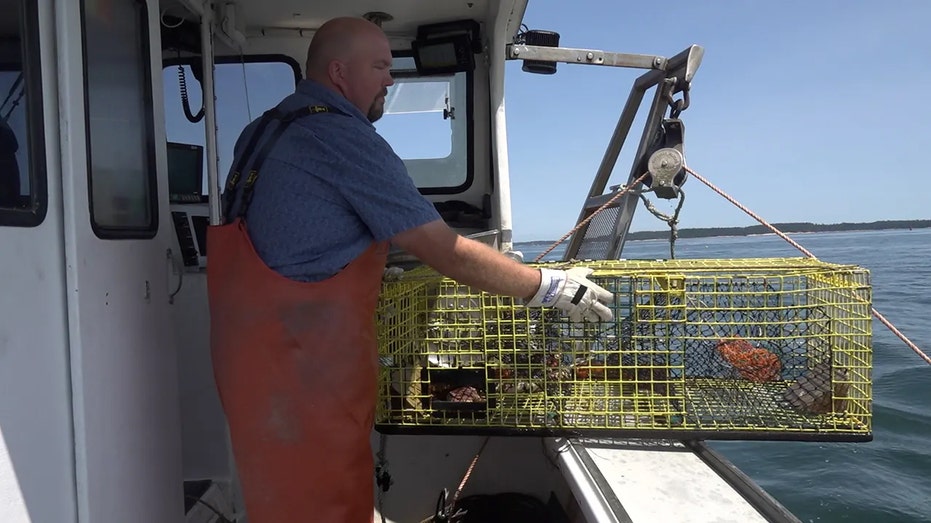 Lobsterman dropping cage off boat