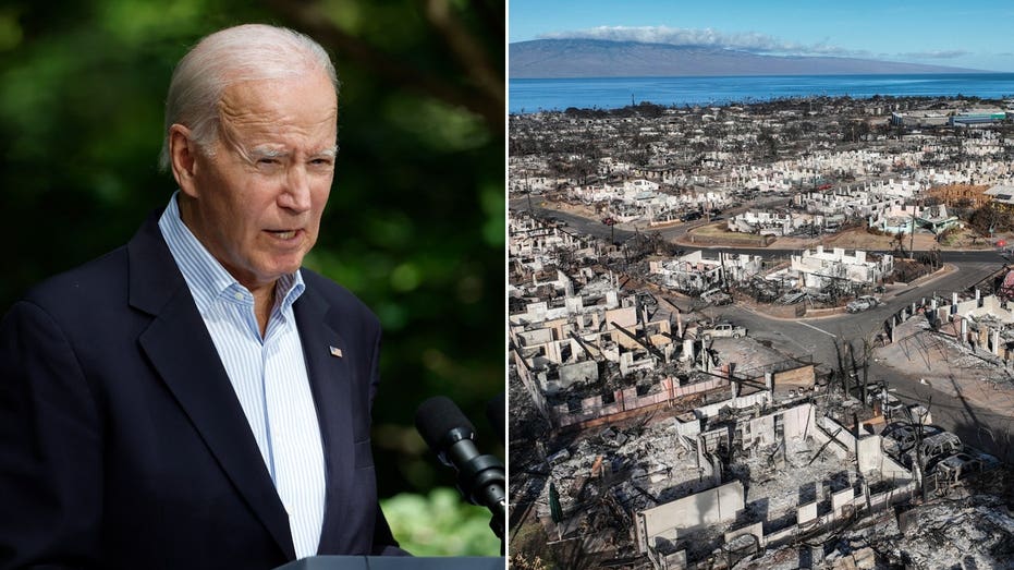 president biden alongside landscape view of maui devastated by wildfires