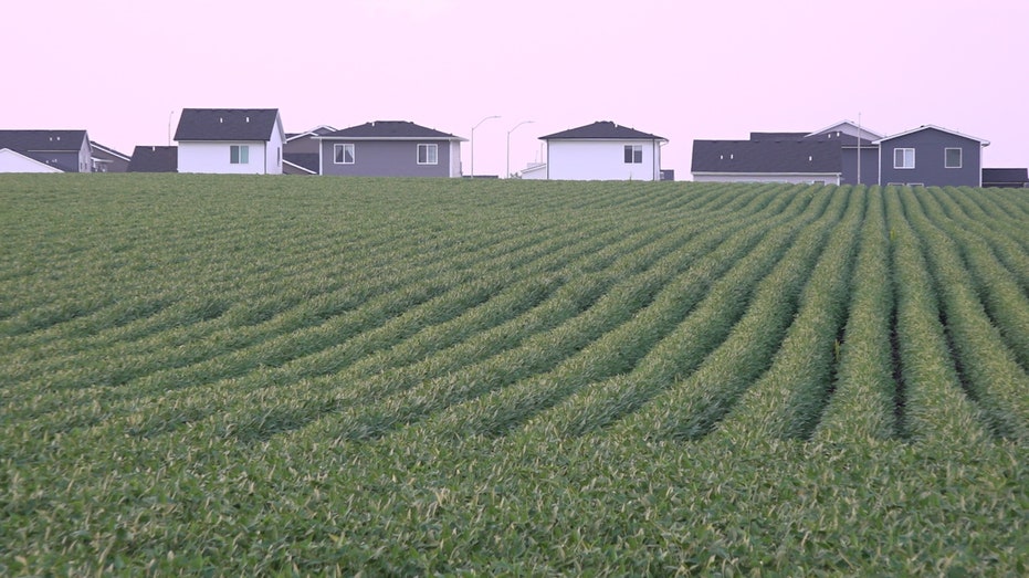 rows of crops are followed by suburban homes in the distance