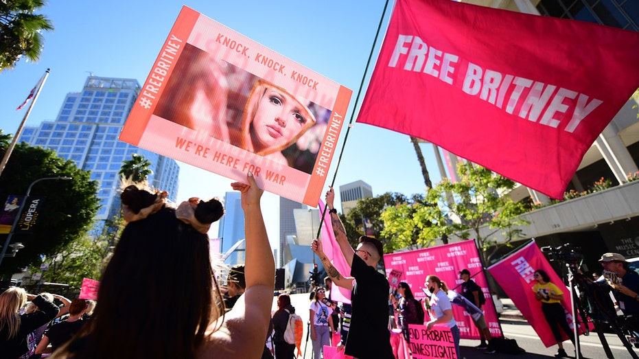 Free Britney flags