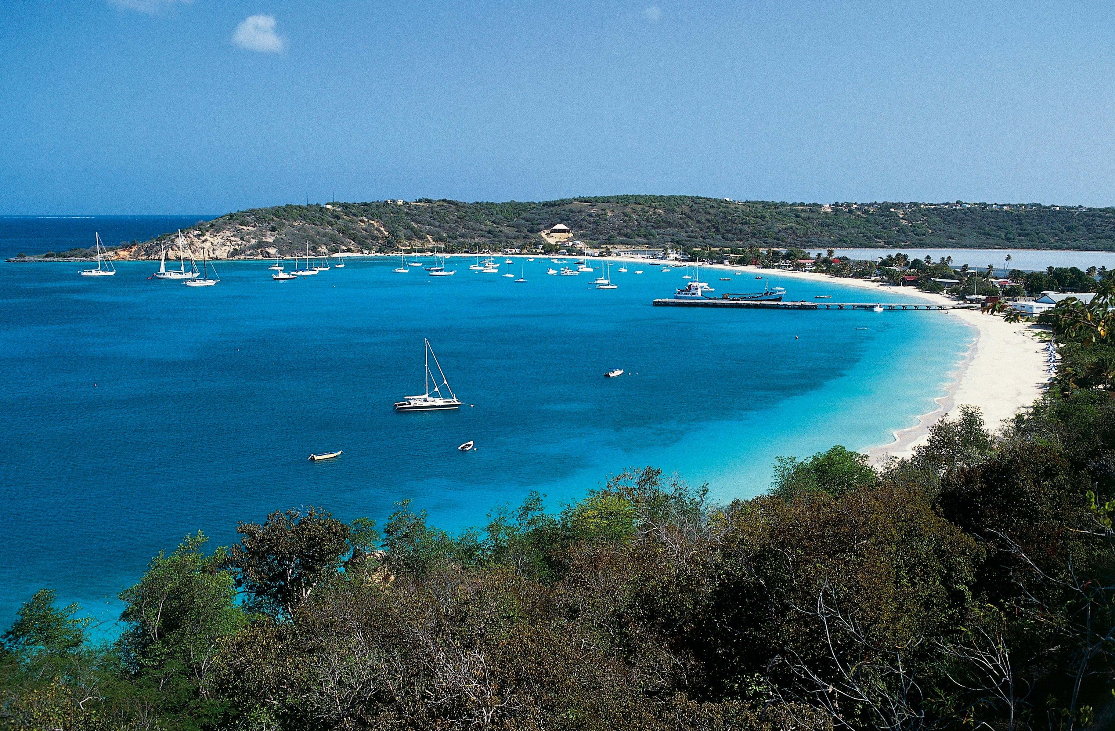 Caribbean island to bank upwards of $30 million due to domain name amid AI frenzy