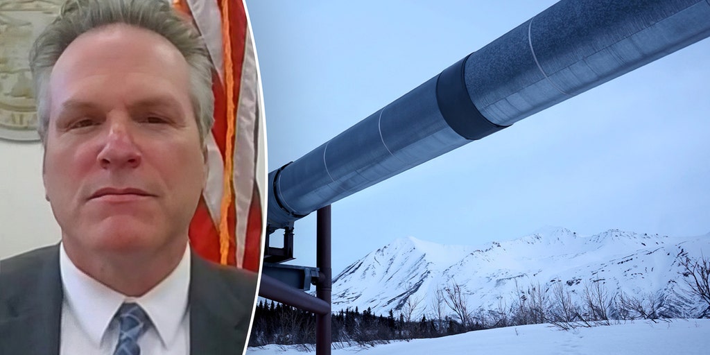Biden cancels Trump-era oil and gas leases in Alaska: 'Like a victim under this administration,' governor says - Vimarsana News