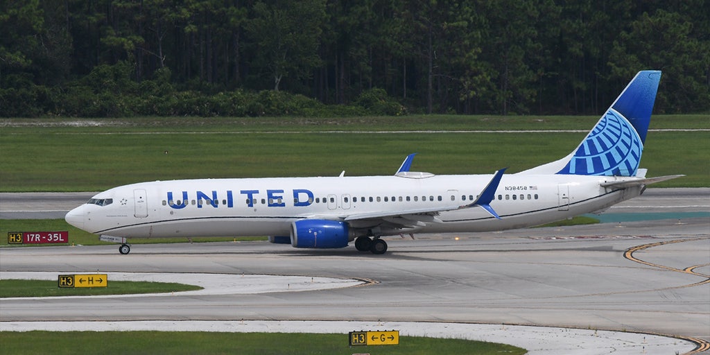 US airlines boost winter schedules to meet surge in demand - Vimarsana News