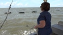 Mississippi introduces new lease to increase oyster production