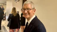 Tim Cook says AI is a 'huge opportunity' while visiting Capitol Hill