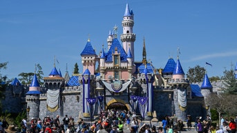 Disney lovers outraged by new theme park rules targeting the handicapped