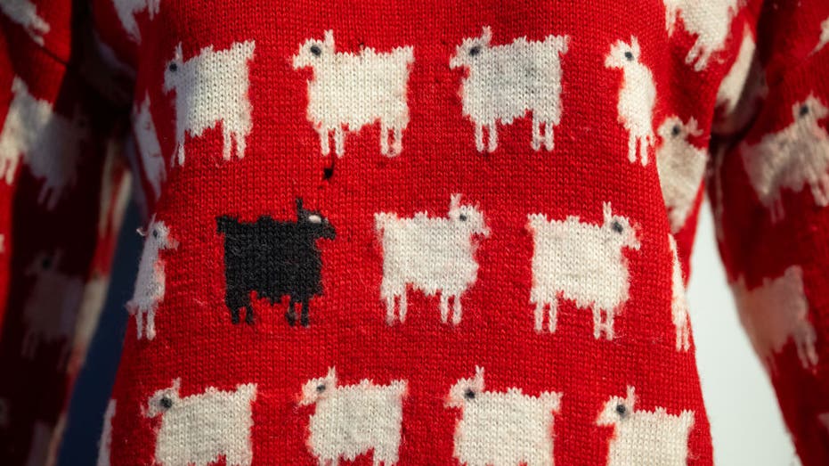 Diana's "black sheep" sweater
