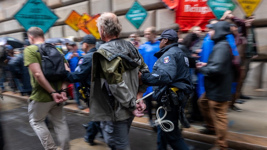 activists arrested in lower Manhattan