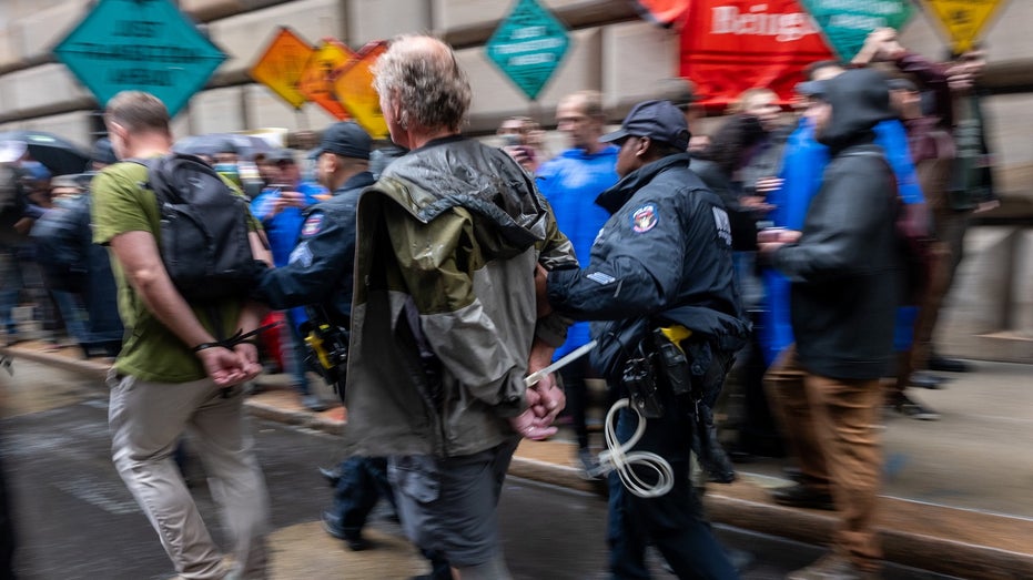 activists arrested in lower Manhattan