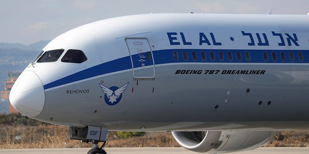 Anonymous donor buys 250 plane tickets for Israel-bound IDF reservists at JFK airport: Report - Vimarsana News