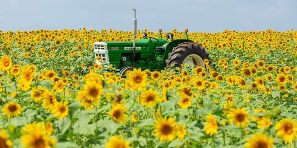 'Everyone is just trying to feed America' - Vimarsana News