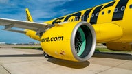 6-year-old flying alone ends up on wrong Spirit Airlines flight