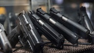 Most US civilian firearms exports halted for 90 days: Commerce Department