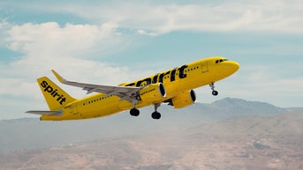 TikTok creator's crowdfunding campaign to buy Spirit Airlines racks up more than $335M in pledges - Fox News