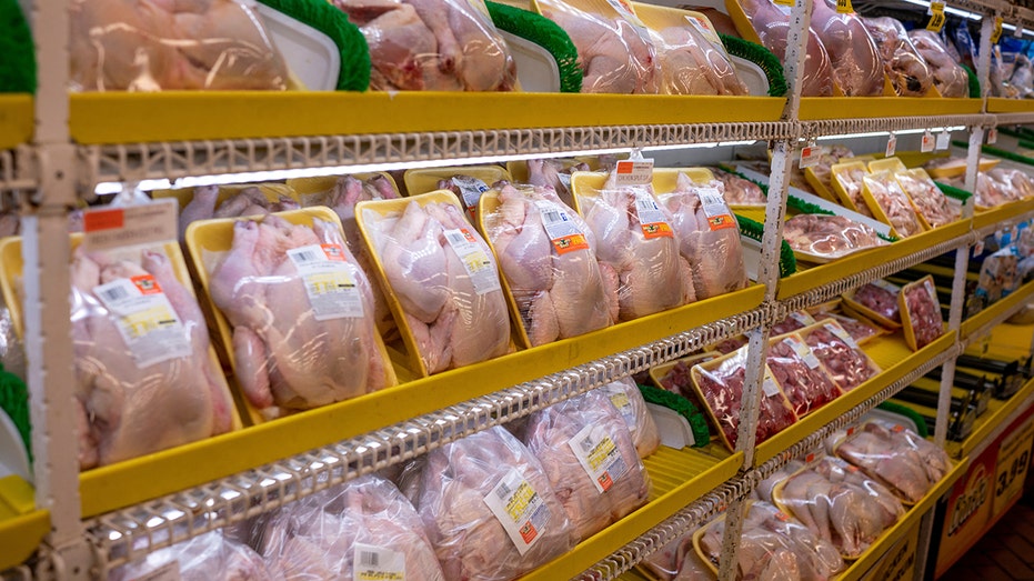Chicken for sale