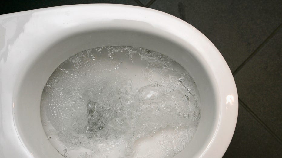 Toilet bowl stock image