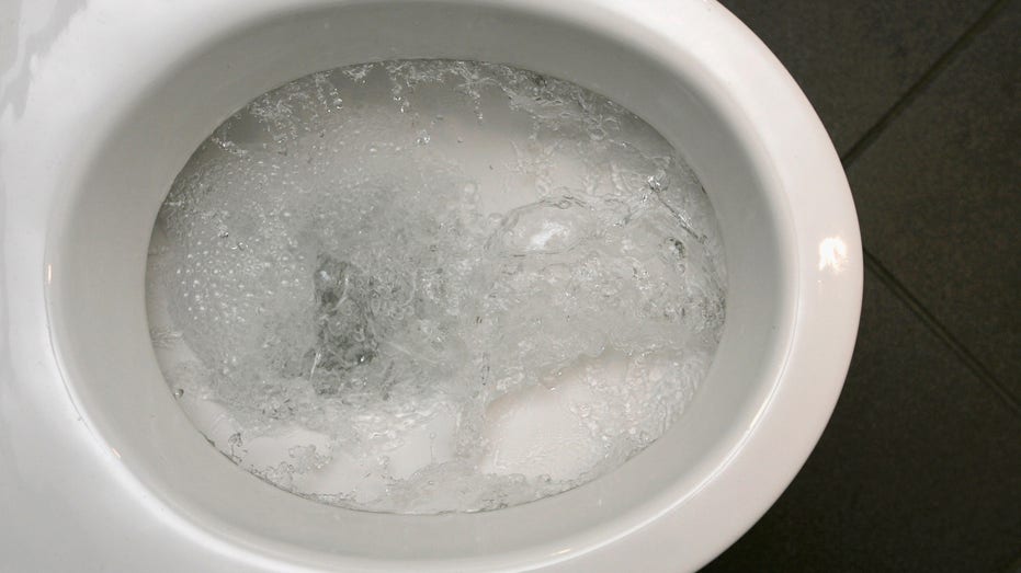 Toilet bowl stock image