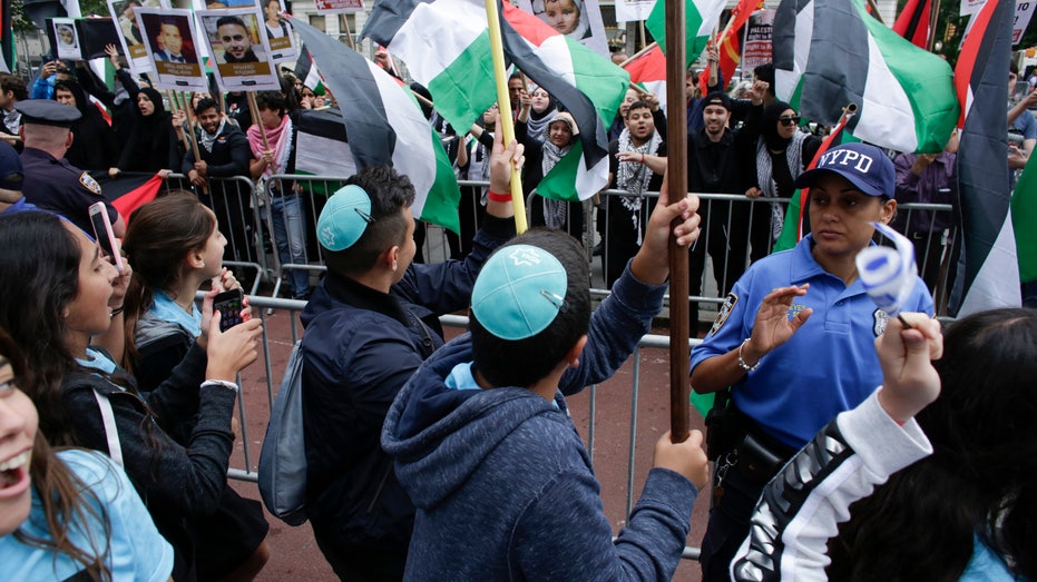 Palestine protestors