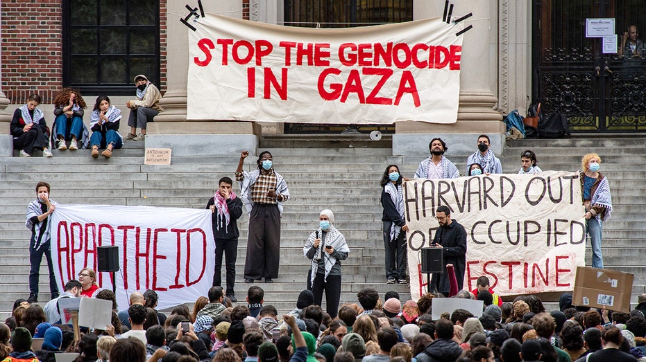 Harvard students protest for Palestine