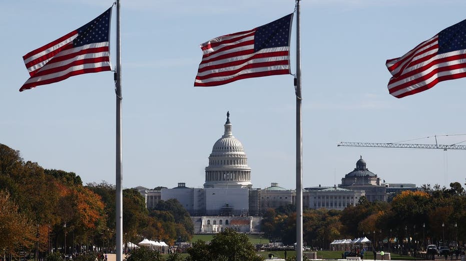 US Capitol Flags