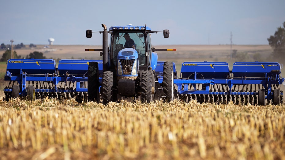 Tractor driving in grain crop field