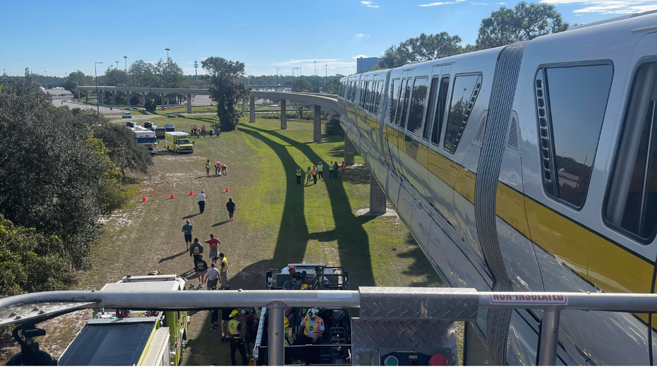Disney's monorail is seen stalled on the tracks