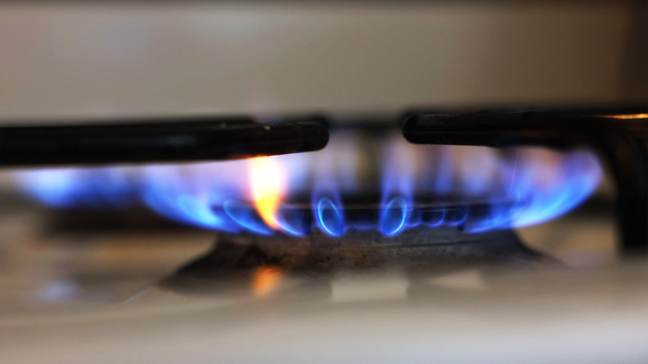 Gas stove flame