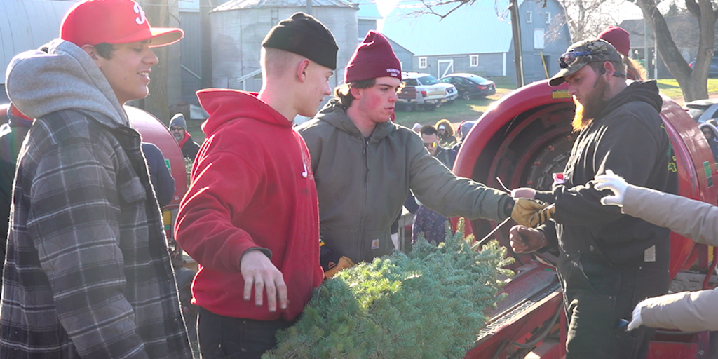 Real Christmas Tree demand stays strong despite inflation - Vimarsana News
