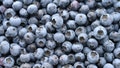 Roughly 55,000 pounds of frozen blueberries have been recalled over listeria contamination risk. - Fox News