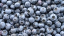Life-threatening Listeria risk prompts massive frozen blueberry recall across multiple states