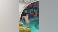 Disneyland streaker arrested after wandering around ‘It’s a Small World’ ride