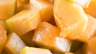 Cantaloupe-related salmonella outbreak total deaths hits eight