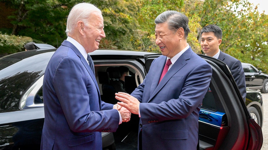 Joe Biden, Xi Jinping shake hands