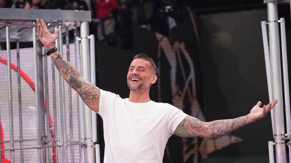 CM Punk at Survivor Series