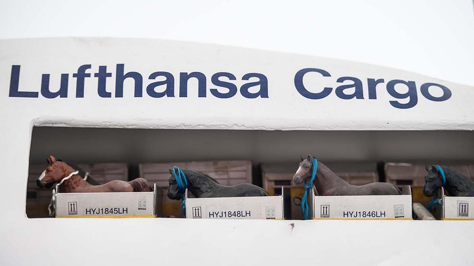 Horses in Lufthansa Airlines cargo hold