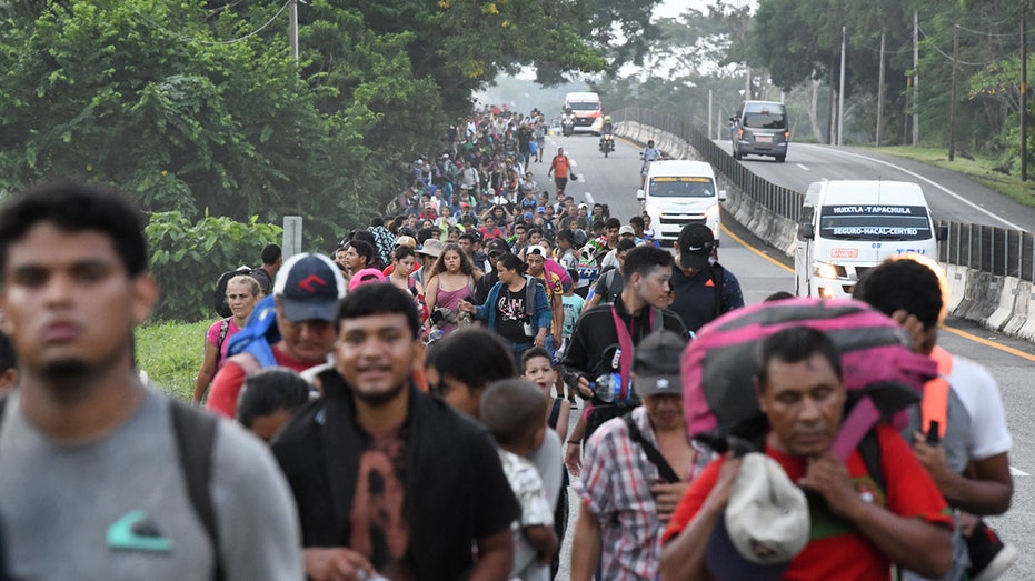 Large crowd of migrants walks along Mexican highway