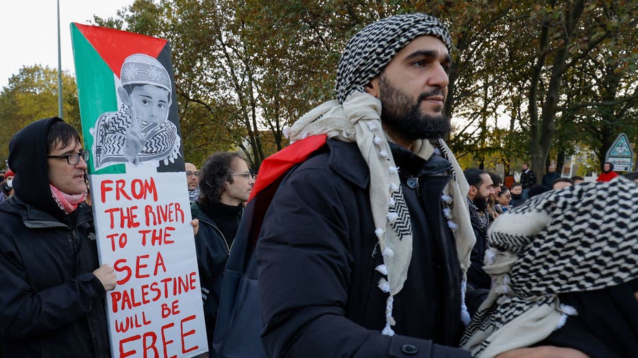 pro-Palestinian protester