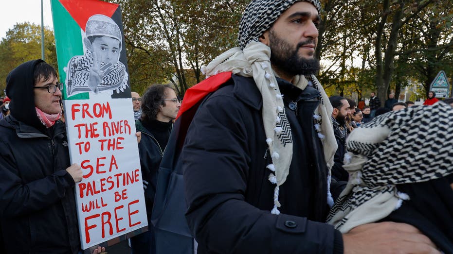 pro-Palestinian protester