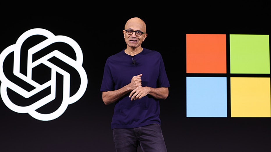 Microsoft CEO, OpenAI