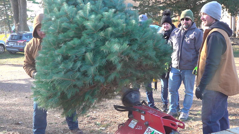 Real Christmas Tree Customers