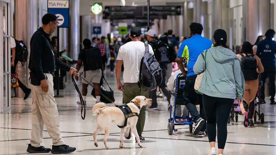 Atlanta airport security TSA